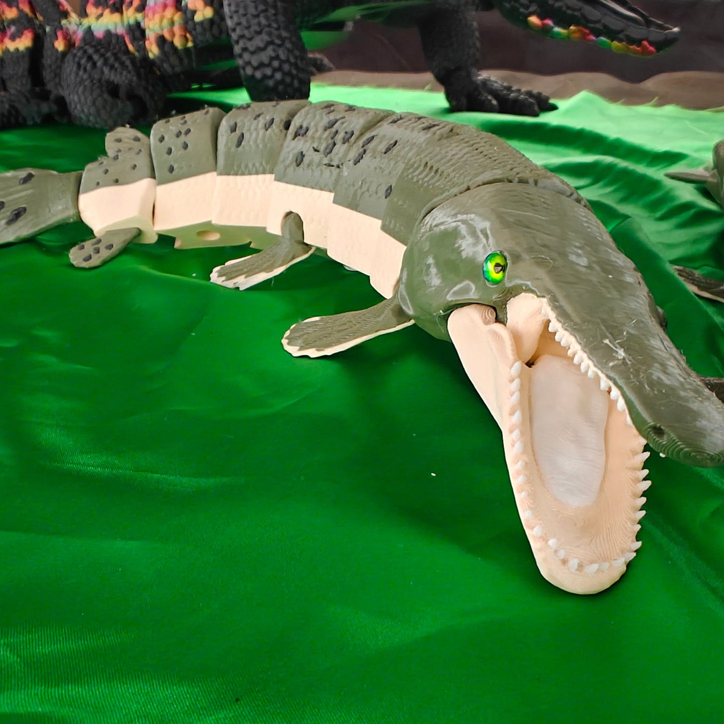 Alligator Gar