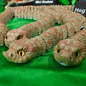 Hognose Snake Flexi