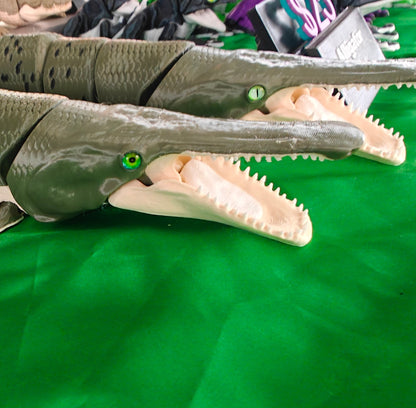 Alligator Gar