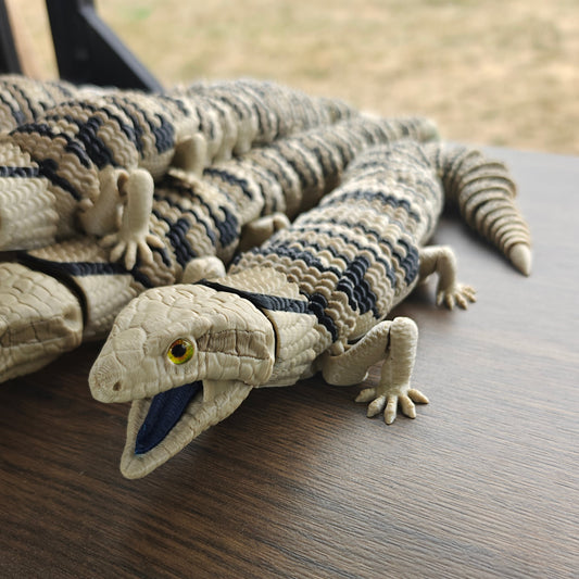 Blue Tongued Skink